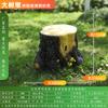 Altavoces de césped para exteriores, impermeables, para parques, jardines, césped, piedra, simulación de animales, rocalla, jardín.