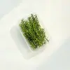 Paquete de Materiales Hechos a Mano para Bricolaje Flores Mixtas Plantas Flores Secas Piñas de Navidad Estilo Bosque para Jardín de Infancia Creación Ambiental Decoración