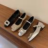 Zapatos Mary Jane Plateados de Tacón Grueso Estilo Francés para Mujer, Nuevos de Primavera y Otoño 2026, Punta Cuadrada, con Pedrería, Elegantes de Tacón Alto