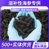 [Pepino-do-mar Padrão Nacional] Pepino-do-mar Levemente Seco de Dalian Grau 3 Produtos Secos Atacado Produtos Nutritivos Liaoshen Fornecido Exclusivamente