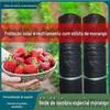 Atacado de fábrica estufa de morango plantio especial rede de sombreamento preta 4 pinos 75% taxa de sombreamento rolo completo proteção solar rede solar