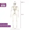 Decoración de Esqueleto de Halloween Esqueleto Artificial de 40 cm Puede Estar de Pie y Colgarse Esqueleto Accesorios de Decoración para Fiesta de Casa Embrujada