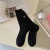 Nuevos calcetines de mujer estilo ballet para primavera y verano, calcetines finos coreanos JK para pantorrilla, calcetines de malla negros con lazo bordado apilados