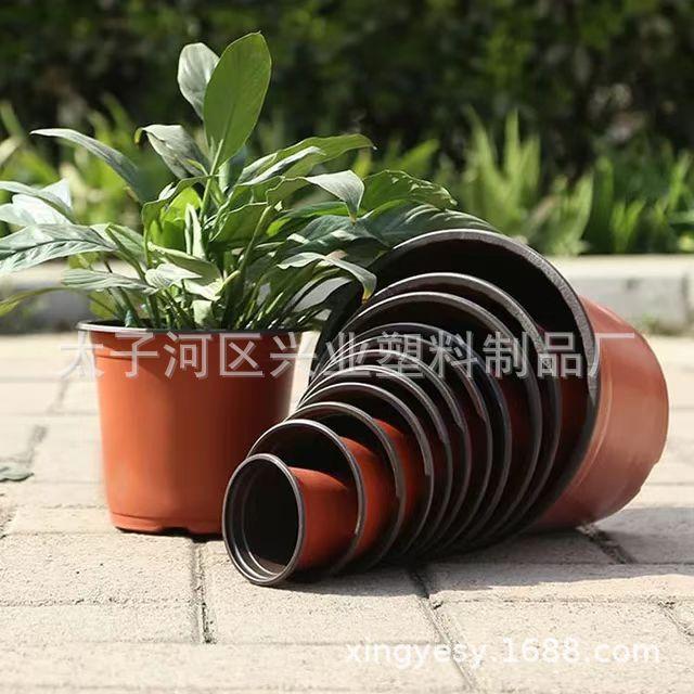 微信图片_20241210125853