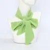 Bufanda Estilo Coreano para Mujer Invierno Pelo de Visón Sintético Engrosada Cálida para el Cuello Versión Estrecha Bufanda Pequeña Estudiante Combinable Decorativa Cinta