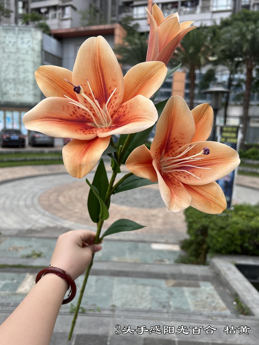 微信图片_20220605142956.jpg