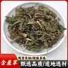 Atacado de Materiais Medicinais Chineses Mimosa Pudica Caule Vermelho Mimosa Pudica Mimosa Pudica Grama Sensitiva Suporta Inspeção de Medicamentos