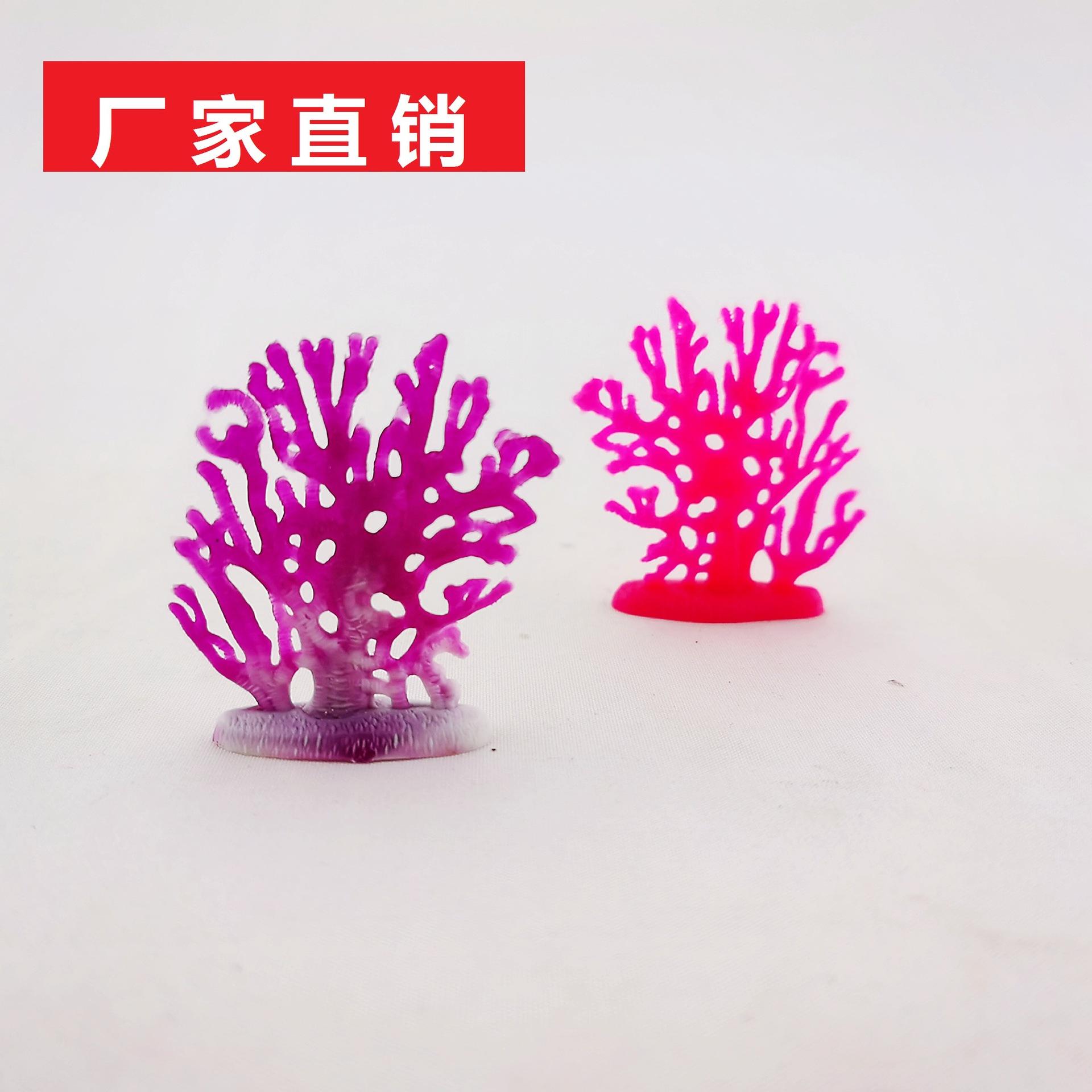 小扁珊瑚