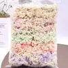 Goma para el Cabello de Encaje Color Té con Leche, Diadema, Elástico para el Cabello de Animales, Accesorios para el Cabello para Tiendas Físicas, Supermercados y Tiendas de un Dólar