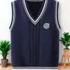 Chaleco de Punto con Cuello en V sin Mangas Bordado Estilo Juvenil Trendy Coreano para Primavera y Otoño