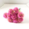Duofu Diente de León Individual Simulado, Accesorios para Arreglos Florales Falsos, Decoración de Partición de Mesa de Sala de Estar, Bolas de Cebolla de Flores y Hierba