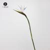 Directo de fábrica ave del paraíso individual orquídea grulla flor artificial planta arreglo floral materiales a juego boda hogar paisajismo floral