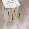 Brincos de Argola Ovais Minimalistas Coreanos Personalidade Versátil Brincos para Mulheres Estilo Cool Alongam o Rosto Brincos da Moda