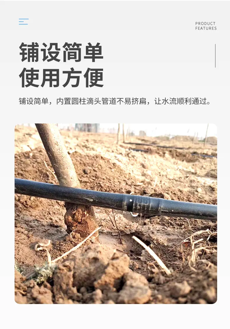 定制-2_11.jpg