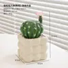 Decoração de Mesa de Escritório Suculenta Sala de Estar Planta em Vaso Interna Casa Desktop Flor Artificial Planta Decorativa Metabo