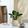 Ins Jiuli Escandinavo Planta Verde Fragante en Maceta Florales Oficina Sala de Estar Escritorio Interior Adornos Purificar el Aire y Eliminar Formaldehído