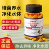 Bacterias fijadoras de nitrógeno para acuarios, específicamente para peceras y tortugueros; purificador de agua en polvo seco concentrado; cápsulas de bacterias de purificación y digestión de la calidad del agua