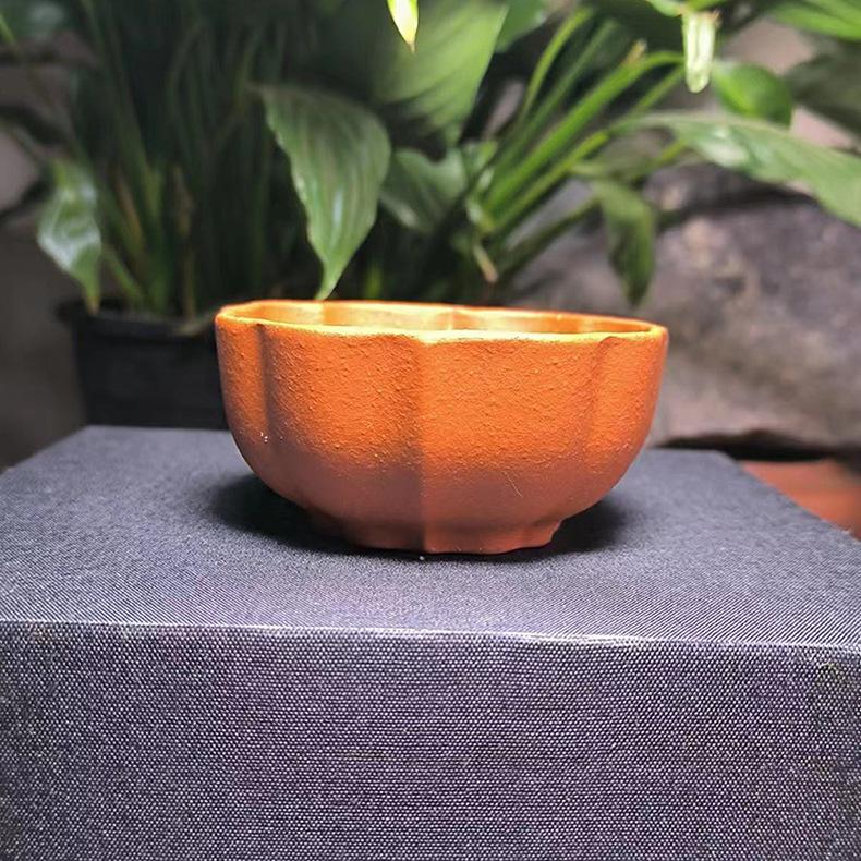 紫砂杯子