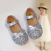 Zapatos de Princesa de Cristal para Niñas 2025 Primavera y Otoño Nuevos Zapatos de Cuero para Niños Pequeños y Mayores, Bailarinas de Princesa con Suela Suave