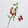 Galhos de Plantas Transfronteiriços, Frutos de Framboesa, Frutas Vermelhas, Flores Artificiais, Arranjos de Flores para Mesa, Buquês Artificiais