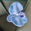 Orquídea Borboleta Flor Artificial Cabeça de Flor Celebridade da Internet Presentes de Casamento Lembrança Roupas Sapatos e Chapéus Flores Artificiais Decorativas Orquídea Atacado