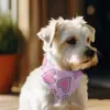 Bufanda Triángulo para Mascota Bufanda de Saliva Navideña para Perro Bufanda Babero Babero Accesorios para Gatos y Perros Comercio Exterior