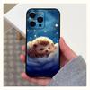Adecuado para iPhone15 comercio exterior nueva linda pequeña funda de teléfono móvil de erizo