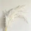 Atacado de Grama Eterna do Fabricante para Casamento e Decoração de Casa DIY Materiais Florais, Grama de Cabelo Longo para Flores de Arte Penduradas