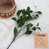 Hoja de planta verde artificial hoja de camelia Mori decoración suave para interiores material de flor comercio exterior al por mayor flor artificial paisaje de jardín hoja de higuera