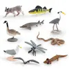 Conjunto de 10 Peças de Figuras de Animais Selvagens da América do Norte  Conjunto de Brinquedos de PVC com Salamandra Morcego Libélula Cobra Lince Peixe e Mais Modelos Realistas de Animais para Ki