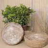 Macetas de Estilo Pastoral Tejidas a Mano, Cestas de Almacenamiento para Plantas de Paja, Flores y Plantas Verdes, Accesorios Creativos para Posar en Fotografía