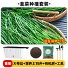 Maceta para plantar verduras en balcón, caja de plantación de verduras de autorriego, para personas perezosas, rectangular, para plantar cebolla, maceta de plástico para flores, interior, anillo de resina, envoltorio