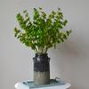 Taobao Tmall suministro al por mayor tienda de decoración del hogar planta de simulación floral hoja verde simulación madera borracha reloj de pared hoja