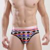 Ventas directas de fábrica 2024 nueva ropa interior triangular estampada de seda de hielo para hombre estampado de leopardo dibujos animados sexy calzoncillos transpirables
