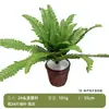 Decoração de Casa Estilo Nórdico com Plantas Artificiais: Palmeira Areca Artificial, Bananeira do Viajante, Plantas em Vasos, Árvores Artificiais e Folhagem Artificial com Tema Floresta