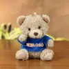 Urso de Pelúcia Vestindo Suéter Suporta Personalização Temática de Feriado, Personalização de Logo e Lembrancinhas de Casamento