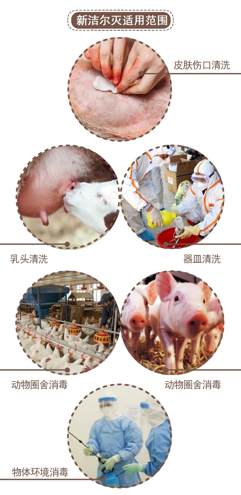 新洁详情畜牧业_04
