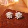 Aretes Creativos de Circonita con Diseño de Fuegos Artificiales, Lujo Accesible, Modernos, de Alta Gama, Exquisitos y Versátiles, Aretes de Nicho para Perforaciones en la Oreja