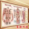 Gráfico de Puntos de Acupuntura de Moxibustión de los Cinco Órganos y Seis Entrañas del Cuerpo Humano Gráfico de Pegatinas de Puntos de Acupuntura de Meridianos Espalda Póster de Espalda Gráfico de Reflejología Espalda