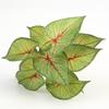 Plantas Artificiales Pequeñas, Plantas Verdes en Maceta, Adornos de Escritorio, Caja de Cría de Mascotas, Modelo de Mesa de Arena, Arreglo Floral, Hojas, Hojas de Monstera