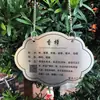 Etiquetas de árbol de acero inoxidable hechas a medida, etiquetas de nombres de plantas, letreros de identificación de flores y hierbas, y descripciones de árboles para campus, lugares escénicos y parques.