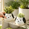 Maceta de flor de perro blanco de orejas grandes, maceta mini linda y adorable para plantas verdes de escritorio de oficina