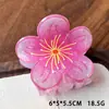 Clip de Cabelo de Acetato Estampado Flor de Frangipani Europeu e Americano Mais Vendido Conjunto de Presilhas de Flor para Mulheres Moda de Feriado Parte de Trás da Cabeça
