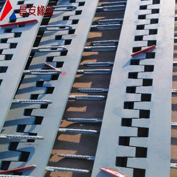 梳齿型伸缩缝 (3).jpg