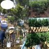 Bolsas Blancas al por Mayor, Bolsas para Plantar Árboles, Bolsas para Plantar en Jardín, Bolsas de Control de Raíces para Trasplante, Bolsas de Guardería de Tela No Tejida Biodegradable PLA