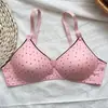 Comercio Exterior Transfronterizo Ropa Interior Femenina Lunares Delgado Hebilla Doble Fila Sin Aros Cómodo Push-Up Fabricante