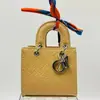 Bolso Acolchado Versátil Estilo Coreano para Mujer, Bolso Cruzado Minimalista de Moda Princesa Diana Mini Bolso con Colgante Decoración de Lunares