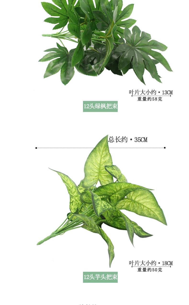 植物把束_04