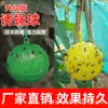 Trampa para Moscas Tablero Amarillo Adhesivo Fuerte Doble Cara Trampa de Insectos Invernadero Jardín Mosca de la Fruta Mosquita de Hongo Minador de Hojas de Cítricos Trampa para Exteriores