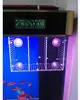 Caja de Aislamiento de 3 mm de Espesor para Incubación y Cría de Alevines de Acuario Acrílico Compartimentos Únicos Dobles Múltiples Envío desde Guangzhou Agujero de 2 mm